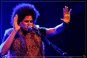 63454  Z-Star 13-08-2014 (Zz) (p)